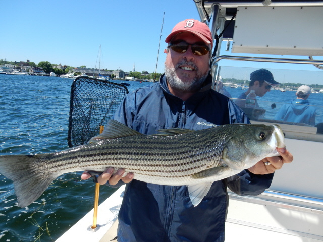 Catching bass on Summer Job Charters, Newburyport